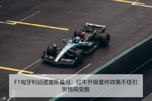 xiong-ya-li-zhan-nuo-li-si-shou-guan-hong-niu-sheng-ji-tao-jian-xiao-guo-bu-jia-yin-fa-ge-ju-bian-shu-3-222.jpg