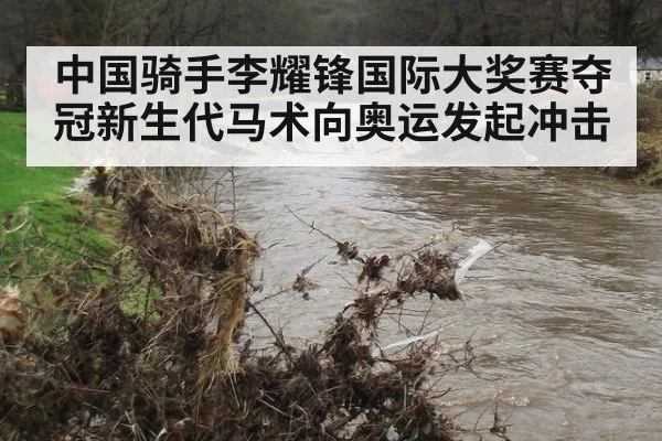 中国骑手李耀锋国际大奖赛夺冠新生代马术向奥运发起冲击